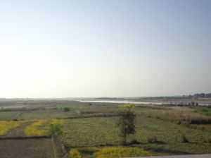 This is how the Terai region looks - flat and mostly cultivated land separated by large rivers.